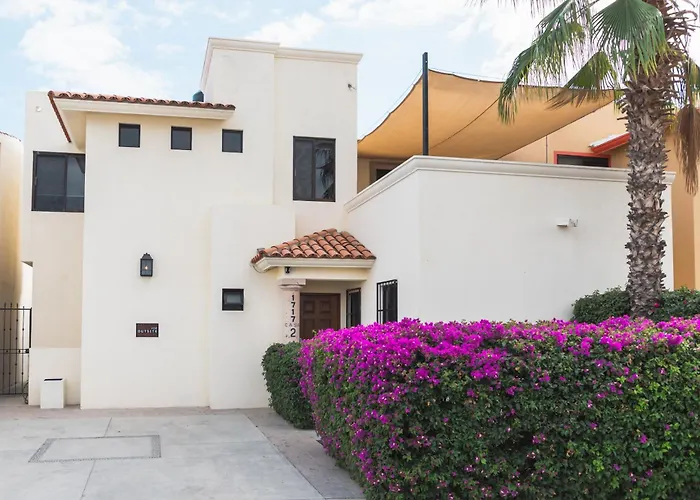 Outsite Cabos - Work, Connect, Explore Homestay