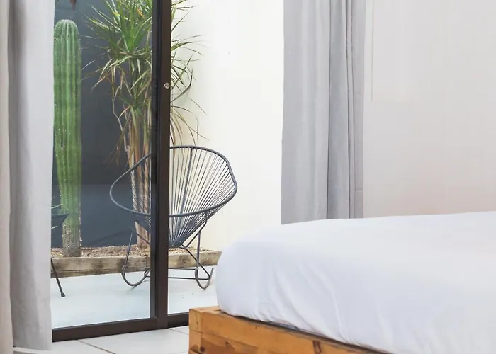 Outsite Cabos - Work, Connect, Explore * San Jose del Cabo