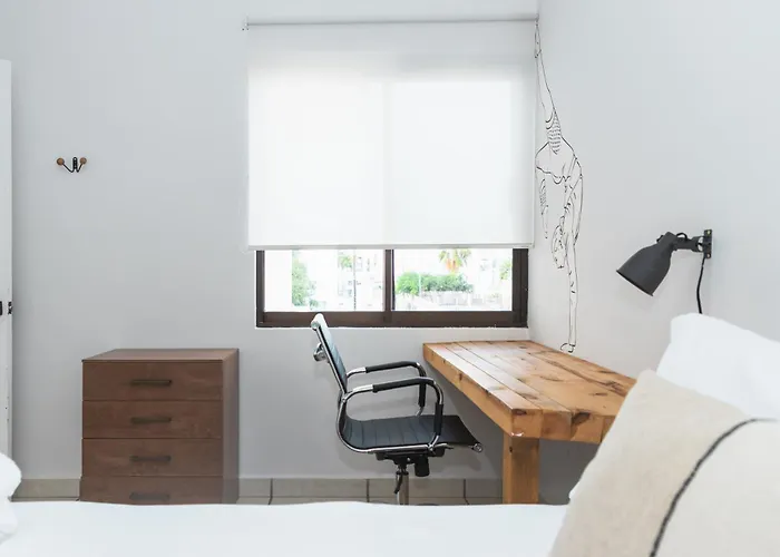 Homestay Outsite Cabos - Work, Connect, Explore San Jose del Cabo