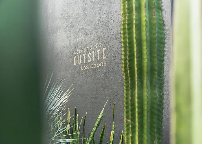 Homestay Outsite Cabos - Work, Connect, Explore