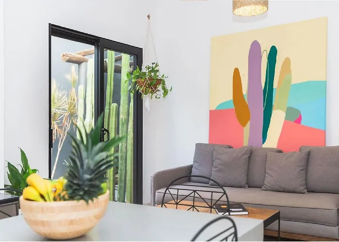 Homestay Outsite Cabos - Work, Connect, Explore San Jose del Cabo