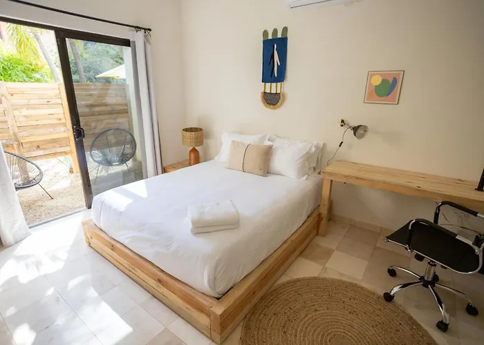 Homestay Outsite Cabos - Work, Connect, Explore *