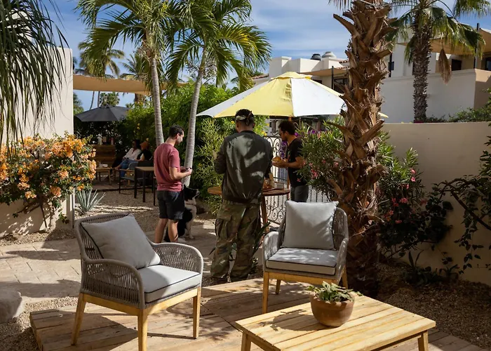 Outsite Cabos - Work, Connect, Explore Homestay
