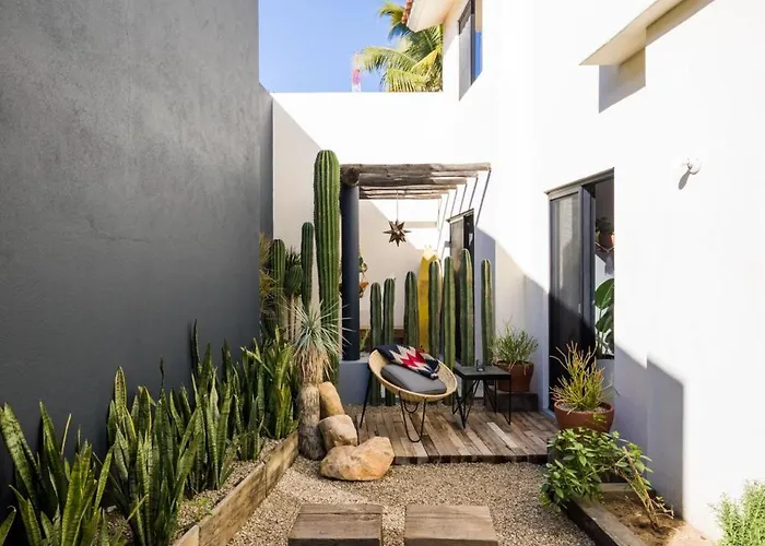 Outsite Cabos - Work, Connect, Explore
