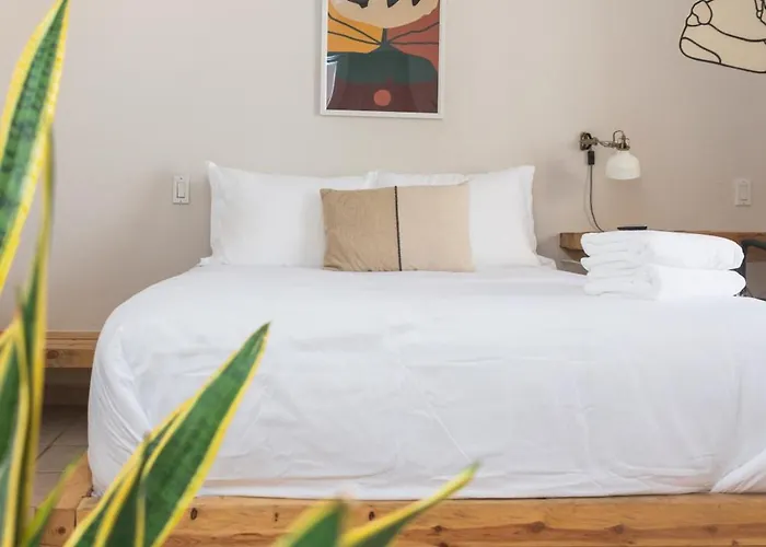 Outsite Cabos - Work, Connect, Explore * San Jose del Cabo